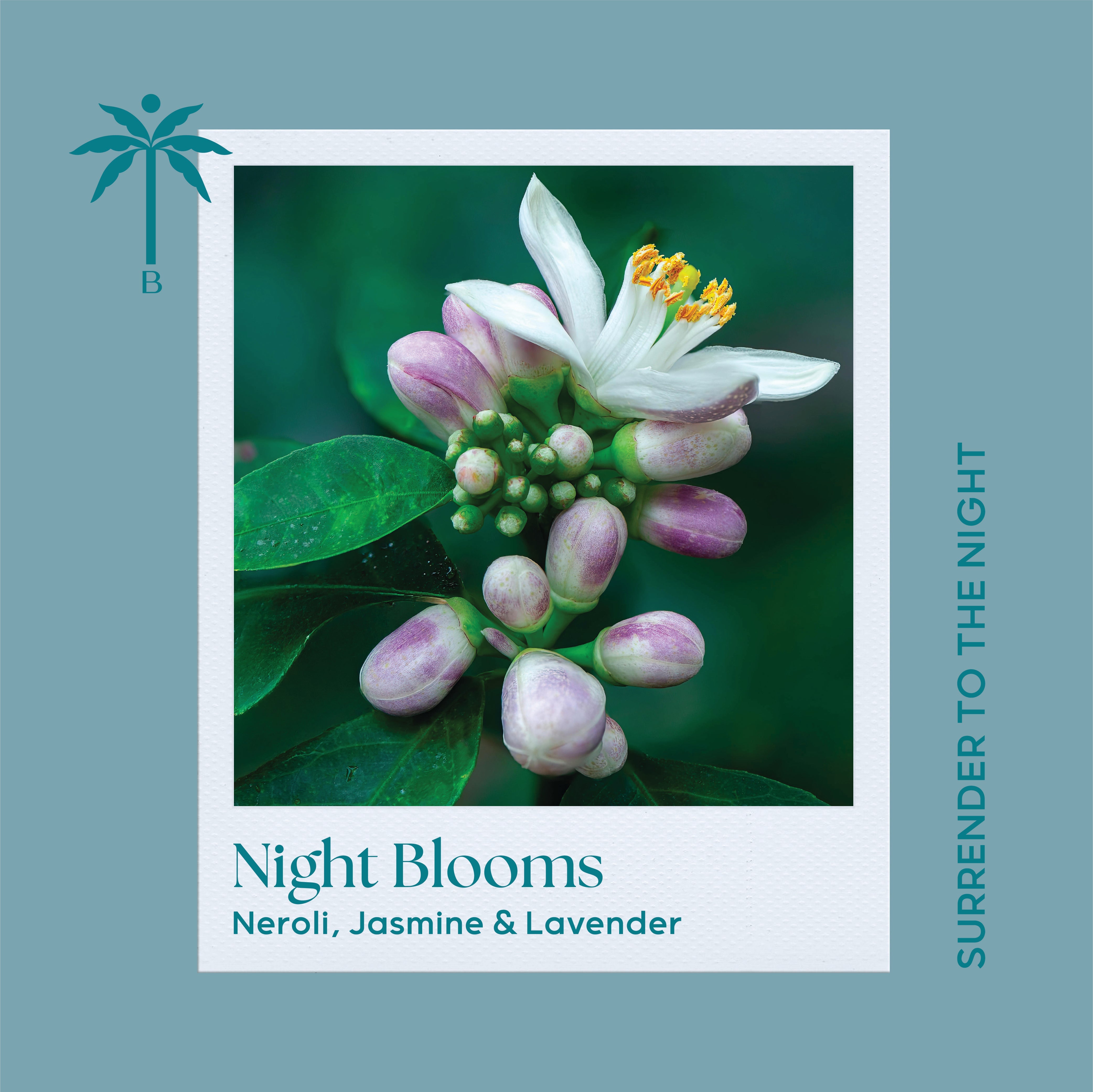 Restorative Scents - Night Blooms – Isla Botanica