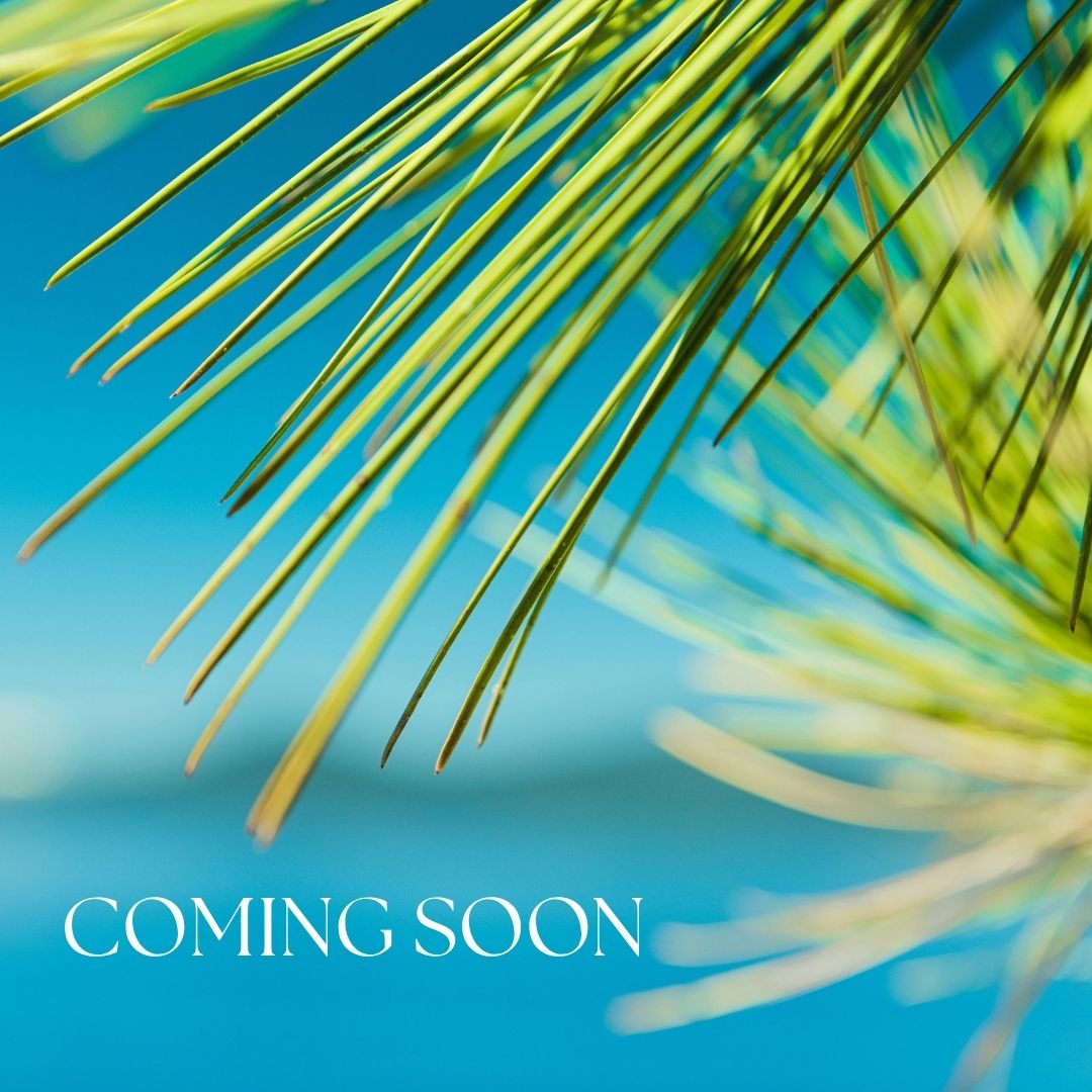 Palm Tidings – Classic Candle 280g