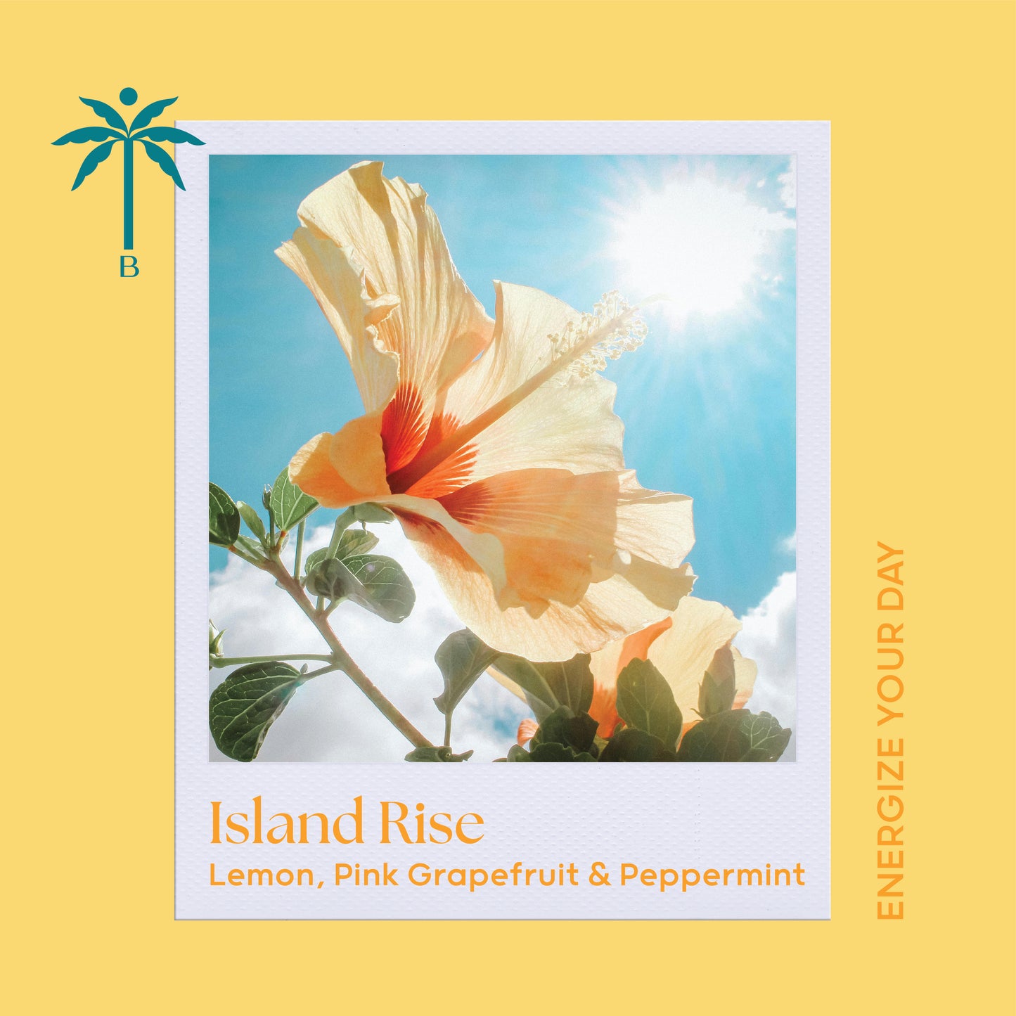 Island Rise – Classic Candle 280g