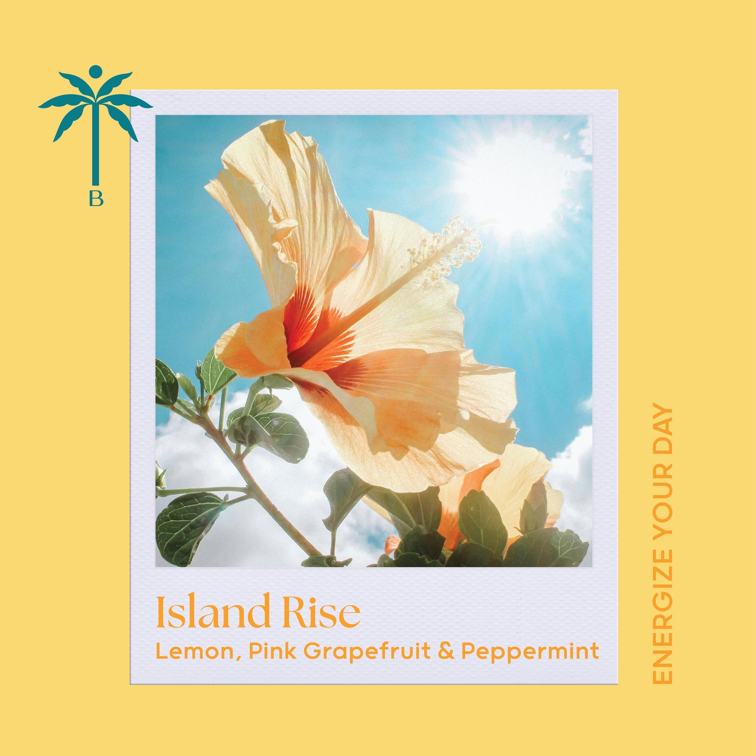 Uplifting Scents - Island Rise