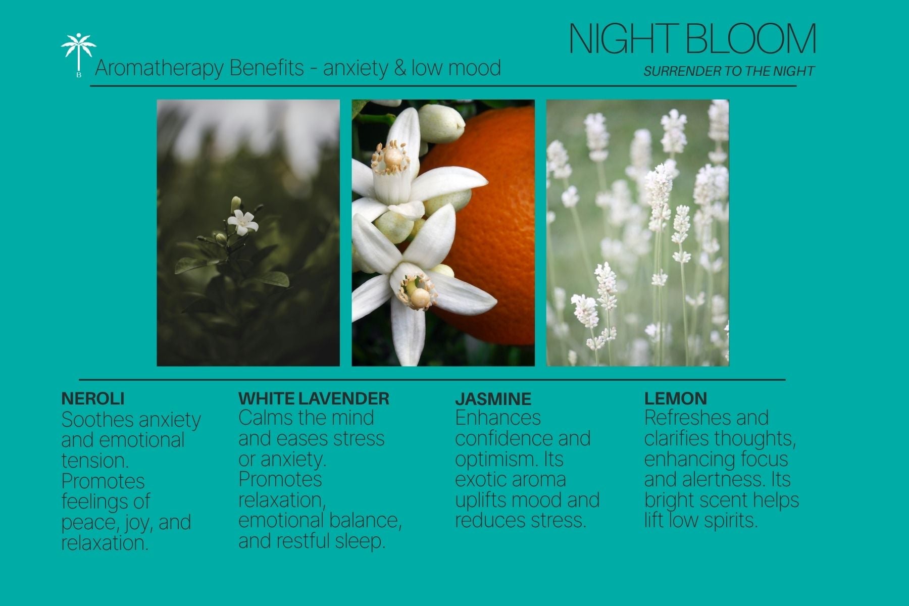 Restorative Scents - Night Blooms – Isla Botanica