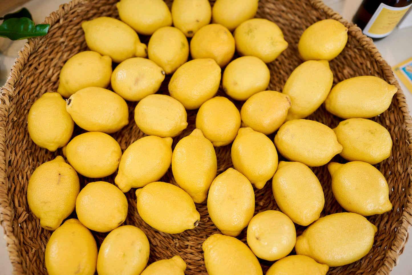 Island Rise – Classic Candle 280g